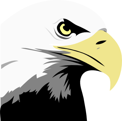 aquila